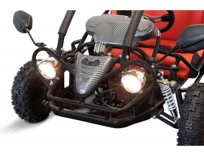 Electric Kids Buggies 750W 60V Kids Electric Mini Buggy